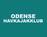 Logo for foreningen Odense Havkajakklub